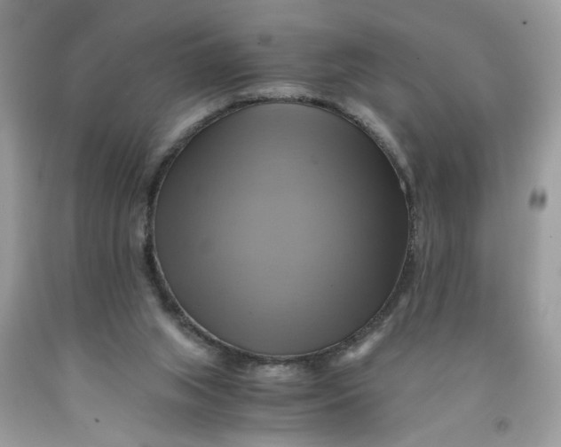 X0000091710063200709141129