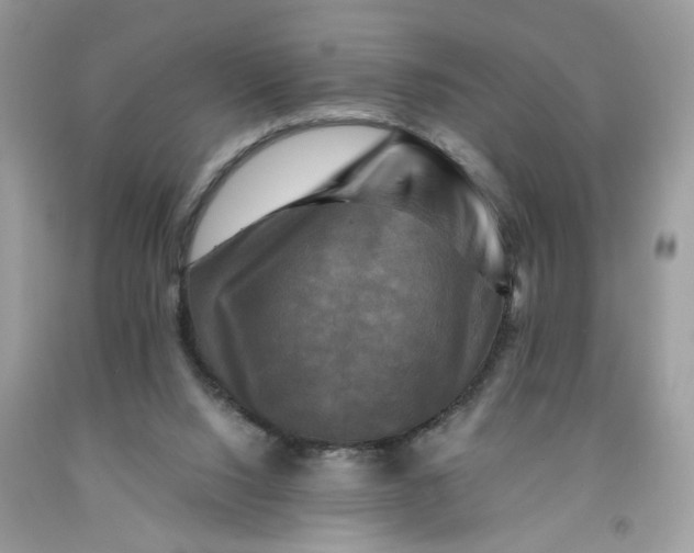 X0000091710064200709141129