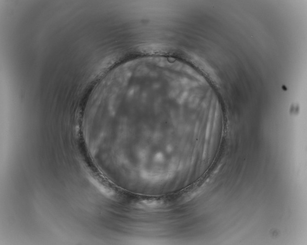 X0000091710065200709141129