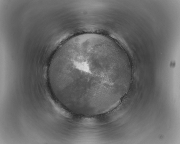 X0000091710066200709141129