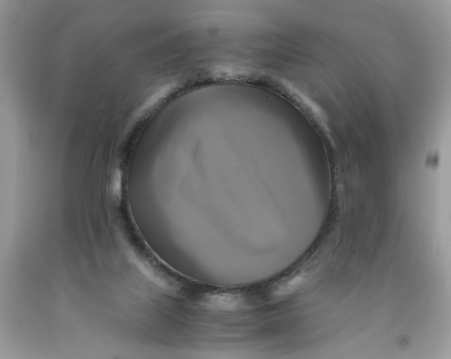 X0000091710067200709141129