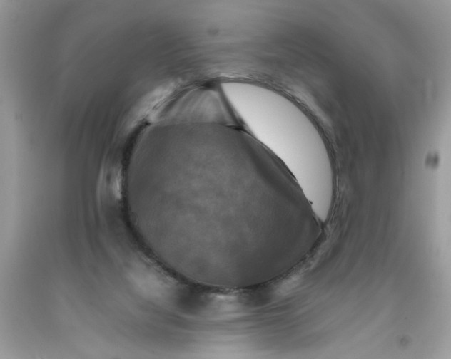 X0000091710068200709141129