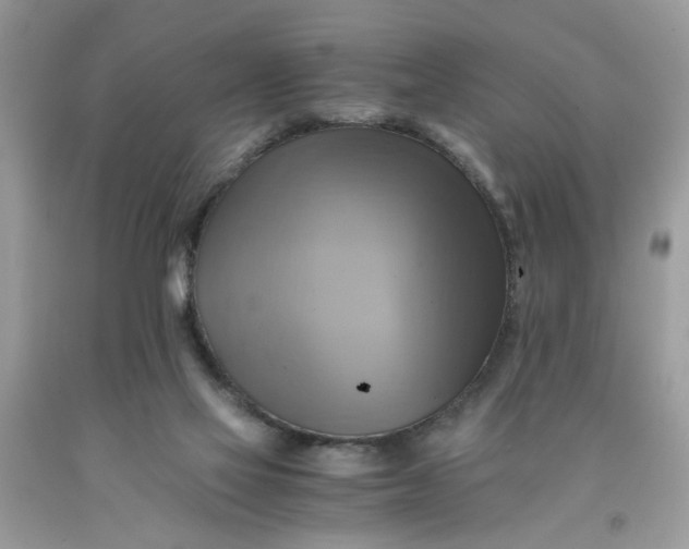 X0000091710069200709141129