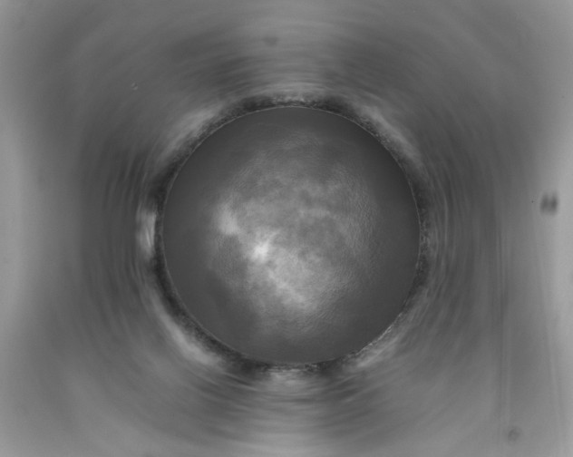 X0000091710070200709141129