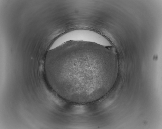 X0000091710071200709141129