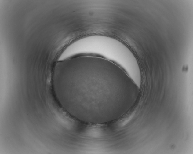 X0000091710072200709141129