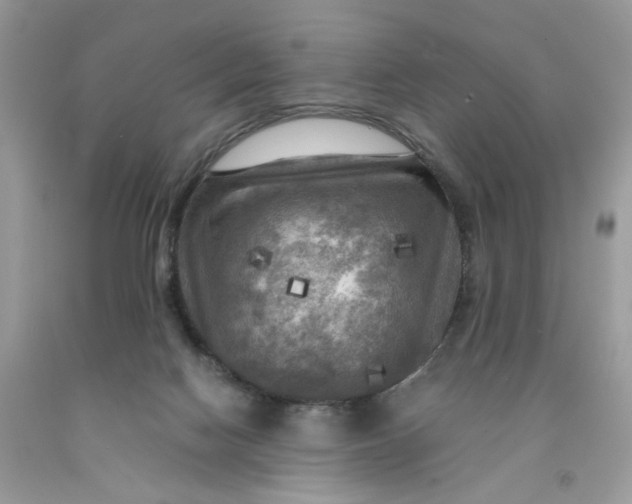 X0000091710074200709141129