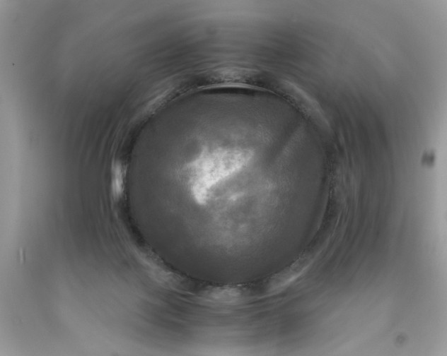 X0000091710075200709141129