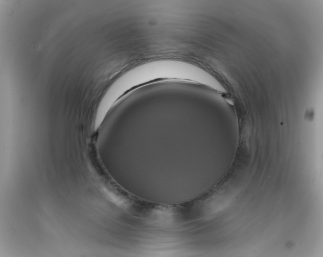 X0000091710076200709141129