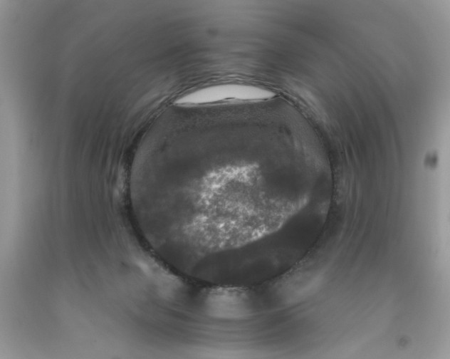 X0000091710077200709141129