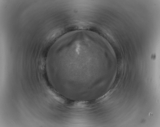 X0000091710078200709141129