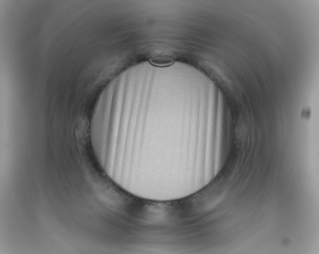 X0000091710079200709141129