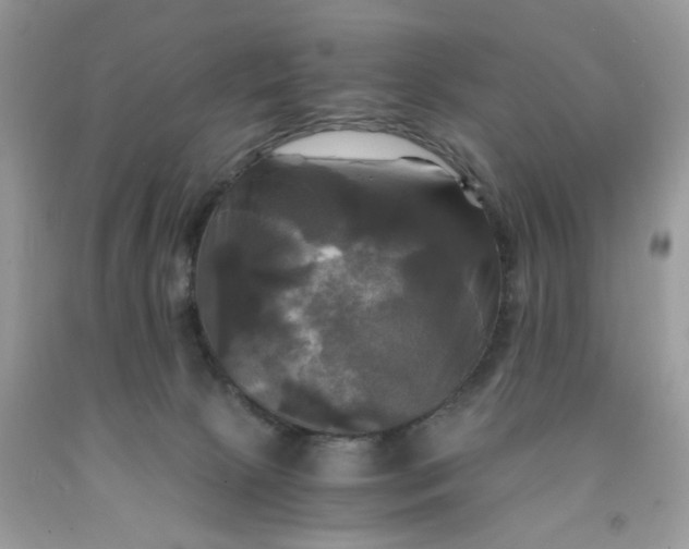 X0000091710081200709141129