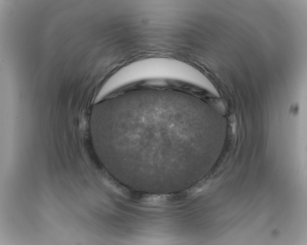 X0000091710084200709141129