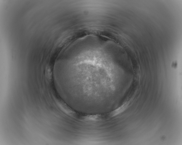 X0000091710086200709141129