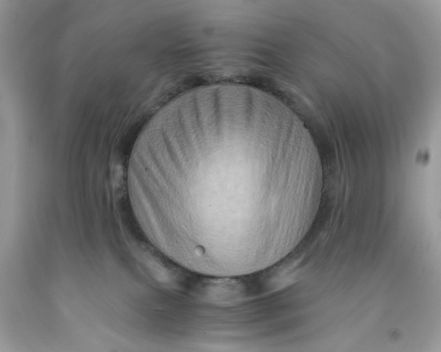 X0000091710087200709141129