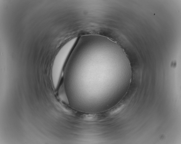 X0000091710088200709141129