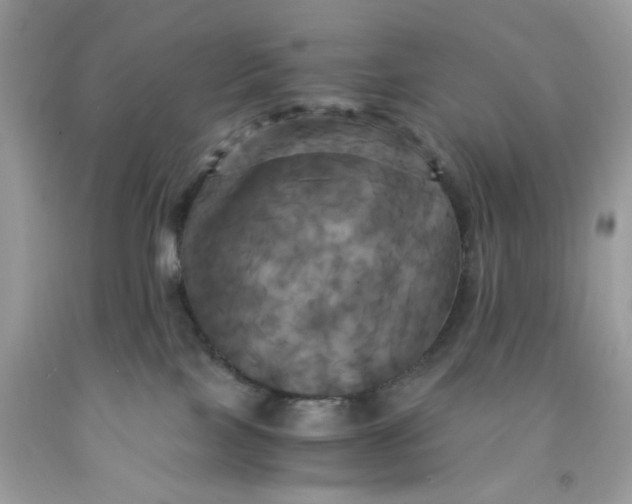 X0000091710089200709141129