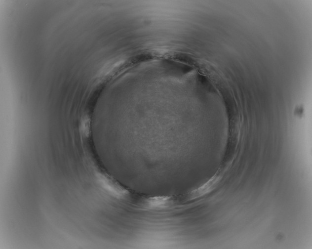 X0000091710090200709141129