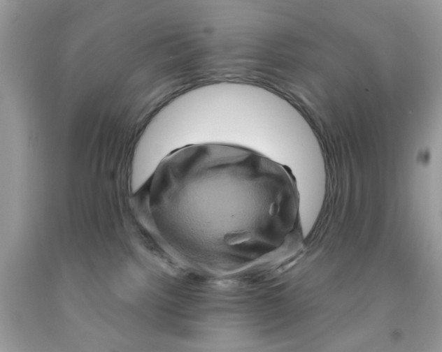 X0000091710092200709141129