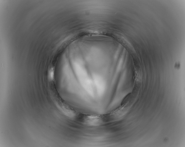 X0000091710095200709141129