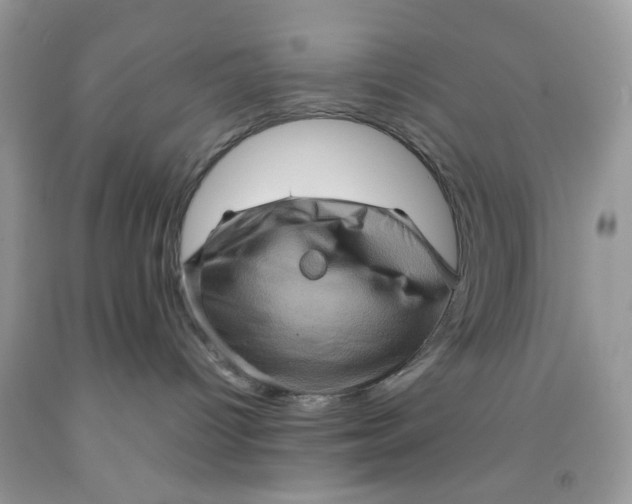 X0000091710096200709141129