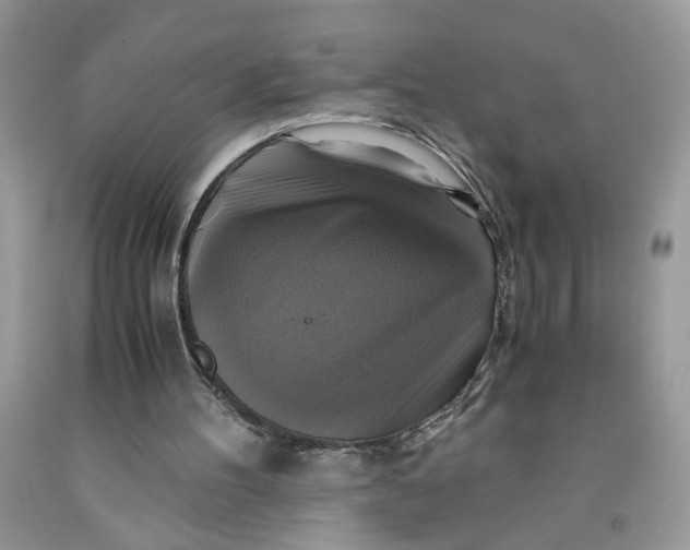 X0000091710100200709141128