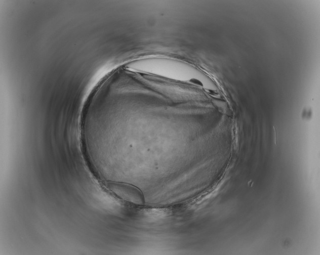 X0000091710102200709141128