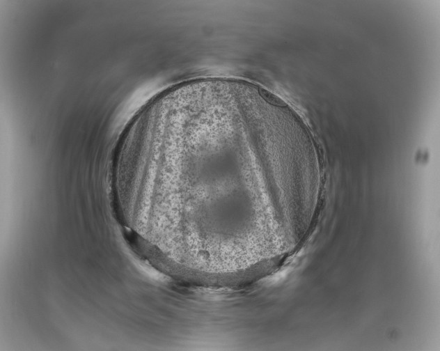 X0000091710103200709141128