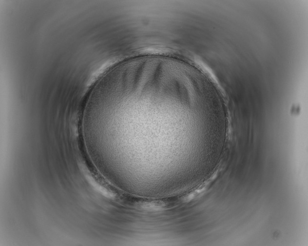 X0000091710106200709141128