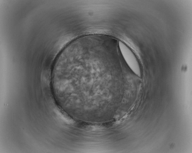 X0000091710107200709141128