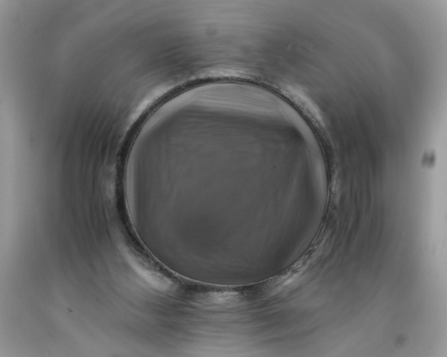 X0000091710108200709141128