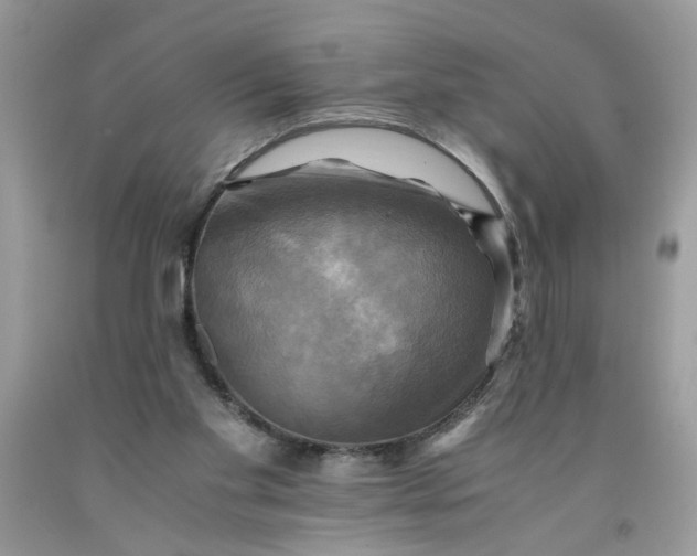 X0000091710109200709141128