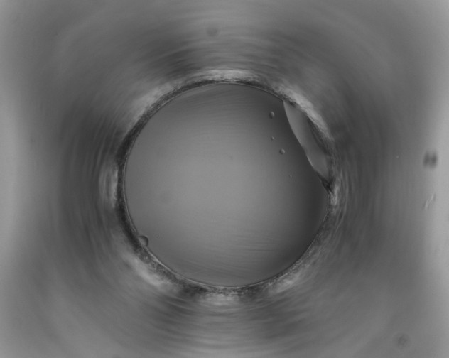 X0000091710110200709141128