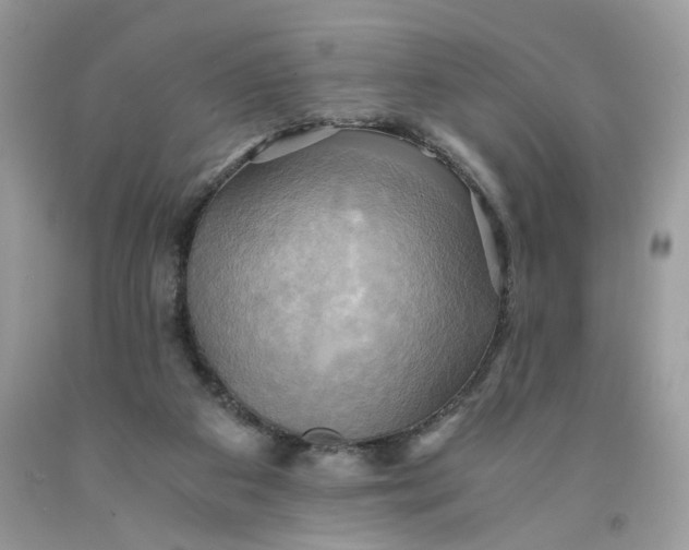 X0000091710113200709141128