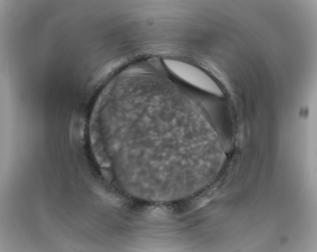 X0000091710115200709141128