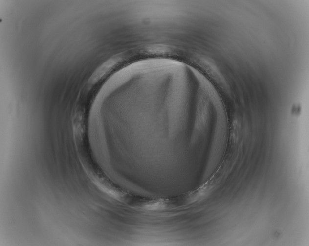 X0000091710116200709141128