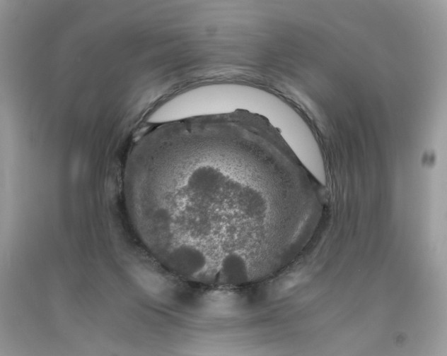 X0000091710119200709141128