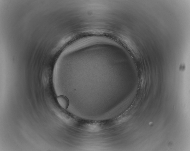 X0000091710120200709141128