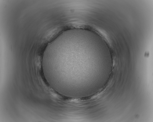 X0000091710121200709141128