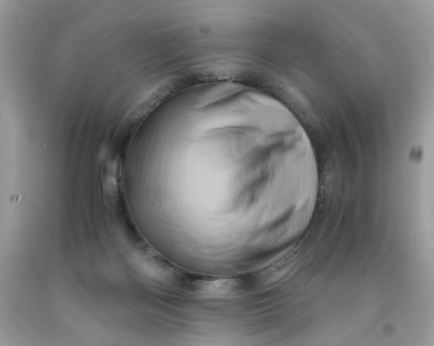 X0000091710122200709141128