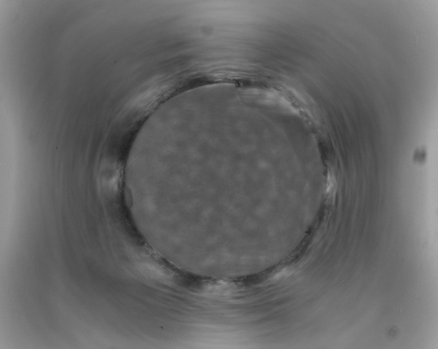 X0000091710125200709141128