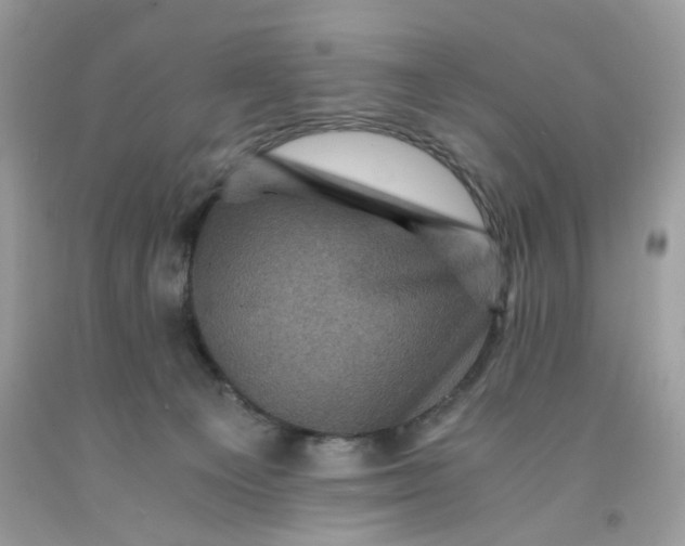 X0000091710129200709141128