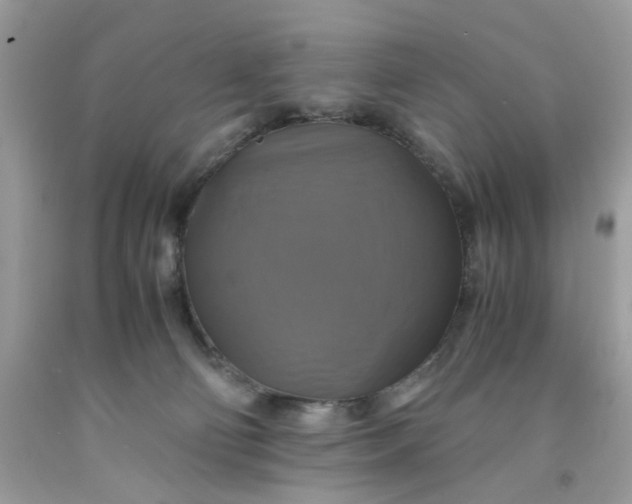 X0000091710130200709141128