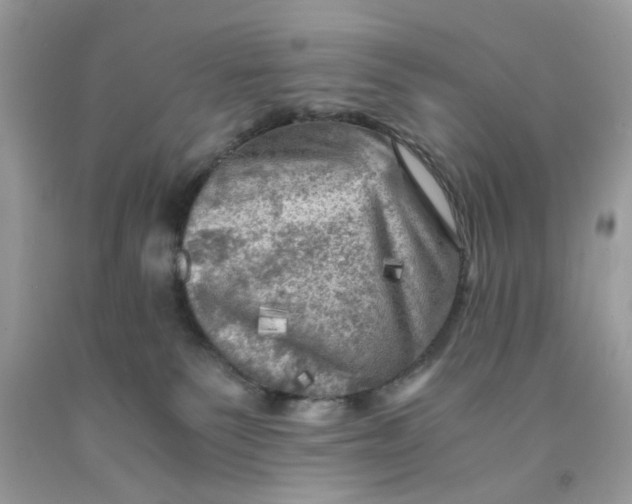 X0000091710135200709141128