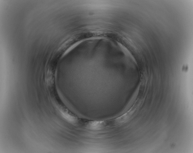 X0000091710136200709141128