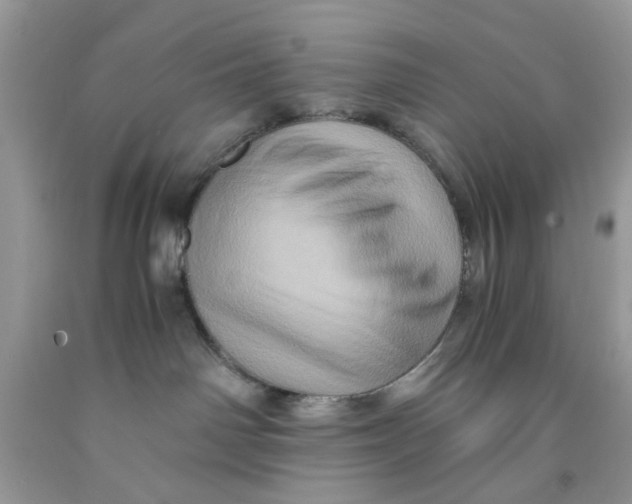 X0000091710142200709141128