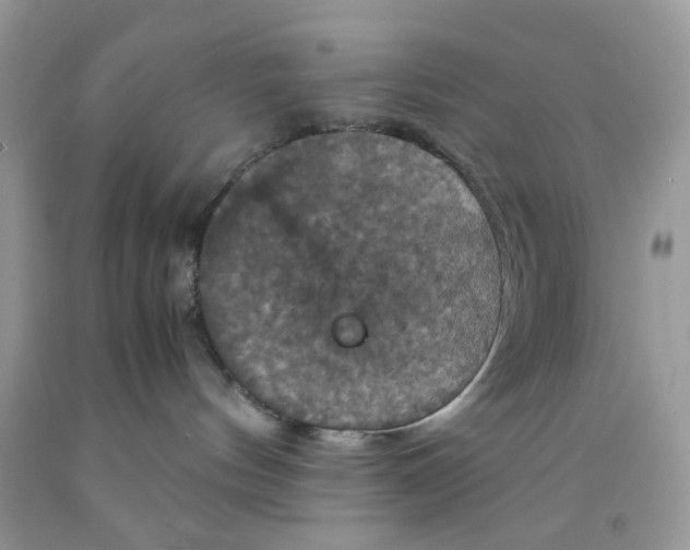 X0000091710144200709141128