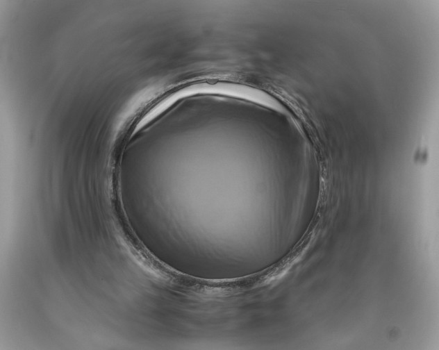 X0000091710149200709141127