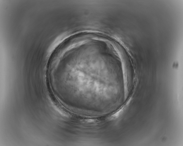 X0000091710151200709141127